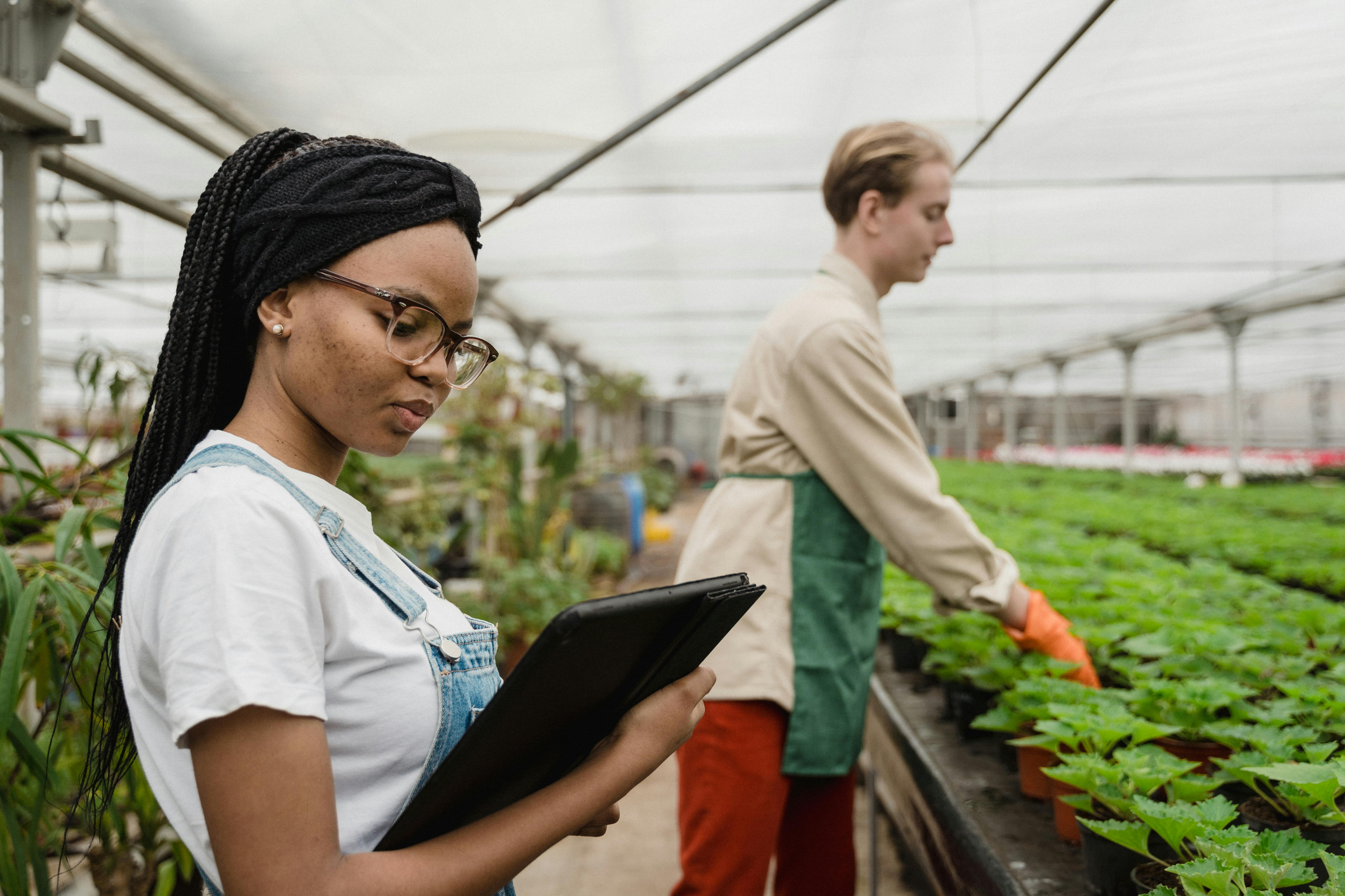 Smart Farming in Davao del Sur: The Role of IoT in Transforming Agriculture